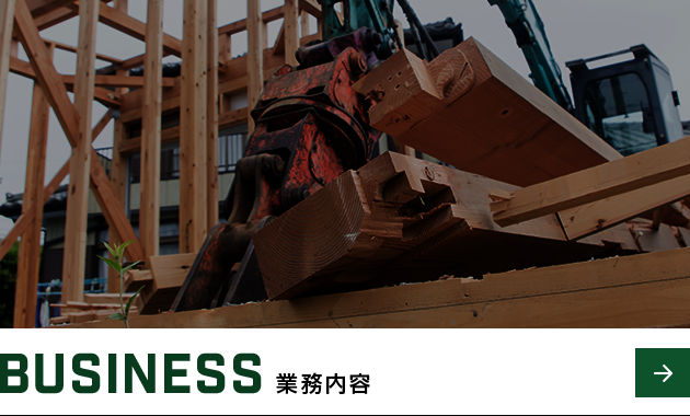 bnrhalf_business_off